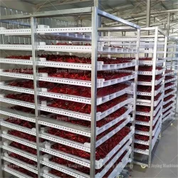 3P pepper heat pump drying room