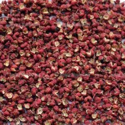 Conveyor belt dryer for Zanthoxylum bungeanum