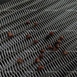Conveyor belt dryer for Zanthoxylum bungeanum