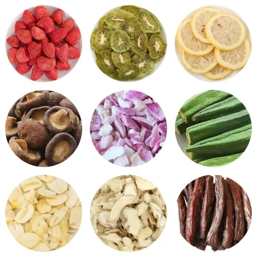 food dehydrators