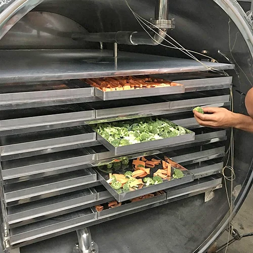 Freeze dryer dry fruit production
