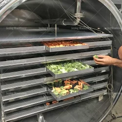 Freeze dryer dry fruit production