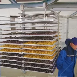 Freeze dryer dry fruit production