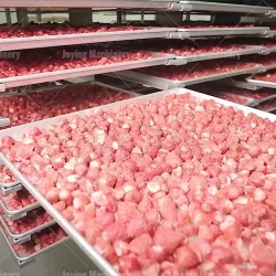 Freeze dryer dry fruit production