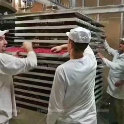 Freeze dryer dry fruit production