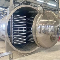 Large Commercial Strawberry Freeze-Drying Machine