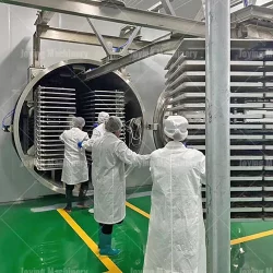 Large Commercial Strawberry Freeze-Drying Machine