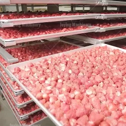 Large Commercial Strawberry Freeze-Drying Machine
