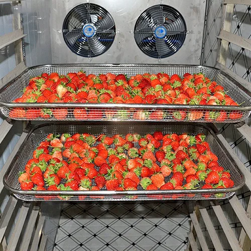 Small tray type fruit and vegetable dryer display