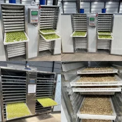 Small tray type fruit and vegetable dryer display