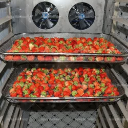 Small tray type fruit and vegetable dryer display