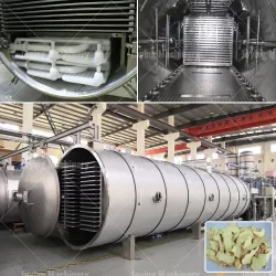 Freeze dried ginger dehydration equipment