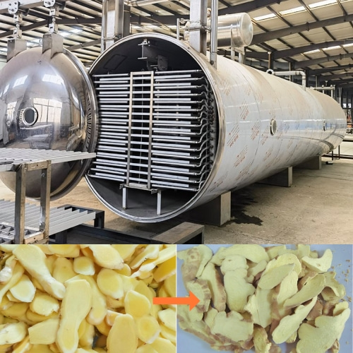 Freeze dried ginger dehydration equipment Joying Machinery Food