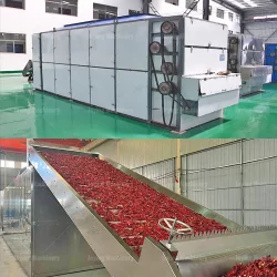 Best dehydrator for chili peppers