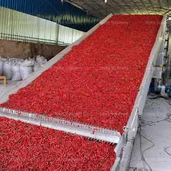 Best dehydrator for chili peppers