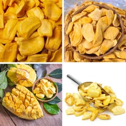 Commercial jackfruit drying machine 4