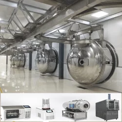 Best commercial Jackfruit freeze-drying dehydration machine 3