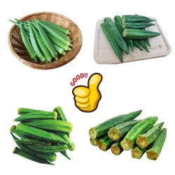 Okra freeze-drying machine 2
