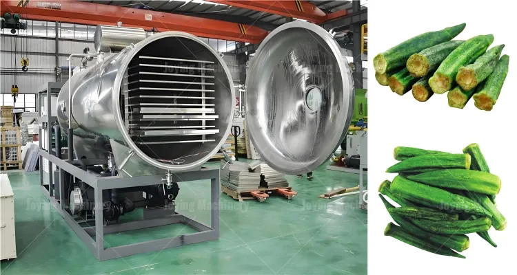 Okra freeze-drying machine 5