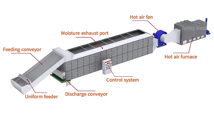 Structural diagram of onion mesh belt dryer machine