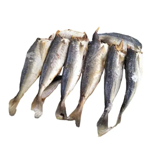 Fish dehydrator